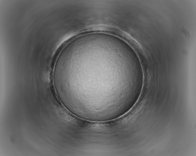 X0000111361166200907171157