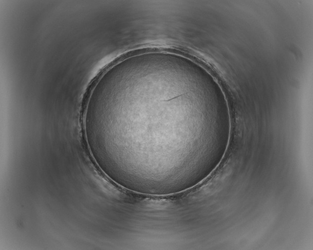 X0000111361168200907171157