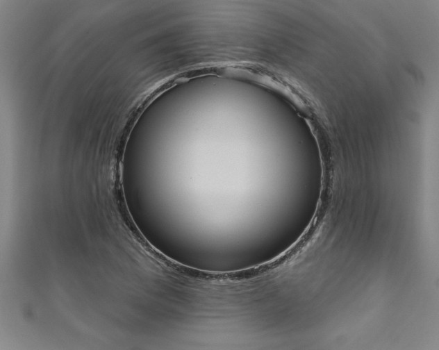 X0000111361169200907171157