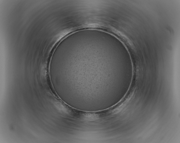 X0000111361170200907171157