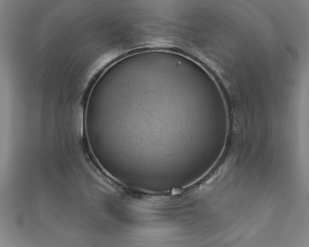 X0000111361171200907171157