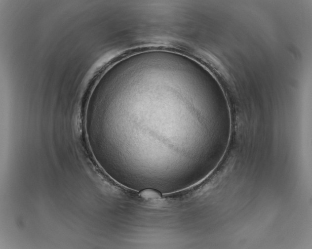 X0000111361172200907171157