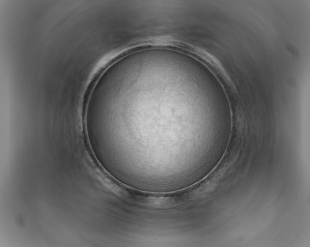 X0000111361176200907171157