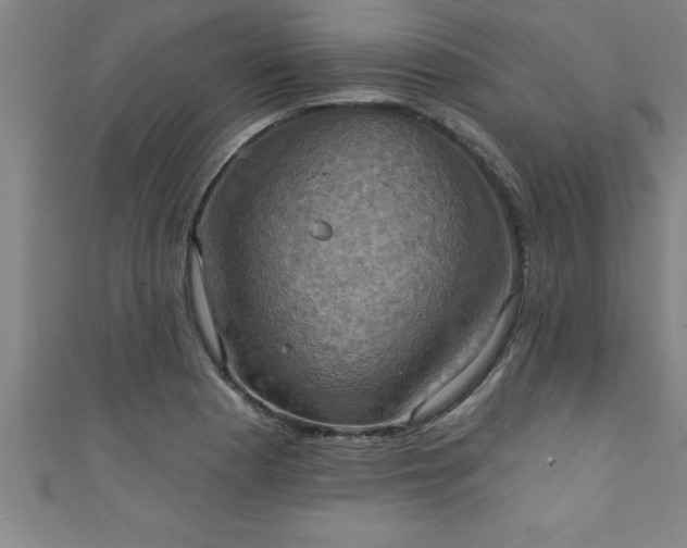 X0000111361177200907171157