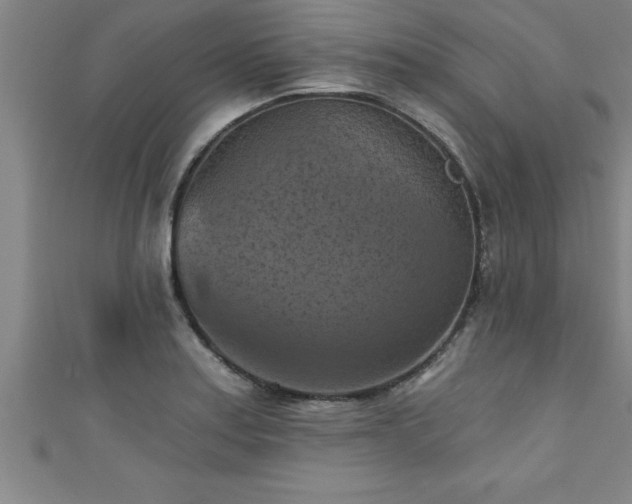 X0000111361179200907171157