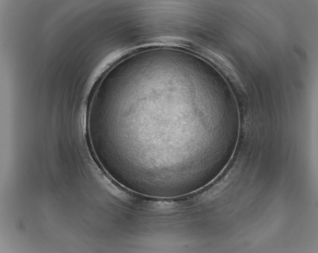 X0000111361180200907171157
