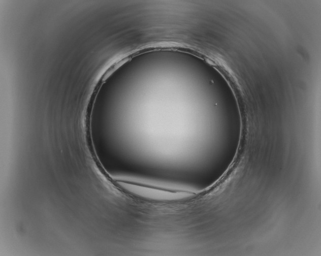 X0000111361181200907171157