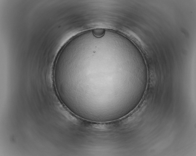 X0000111361182200907171157