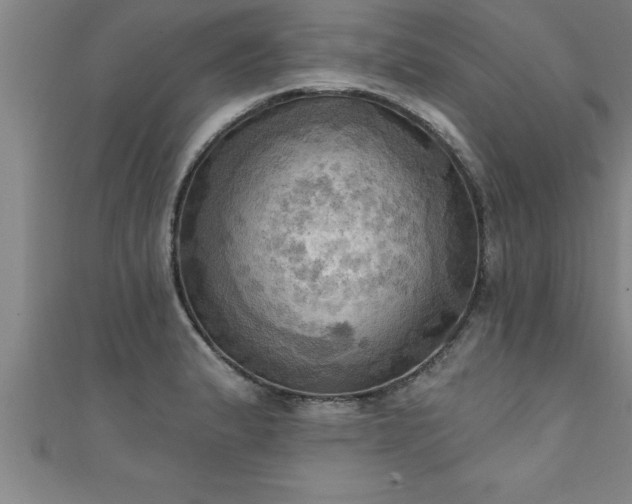 X0000111361183200907171157