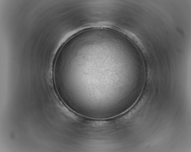 X0000111361184200907171157