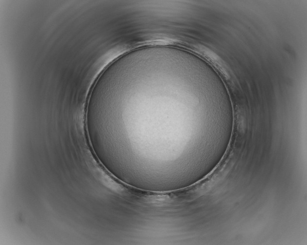 X0000111361186200907171157