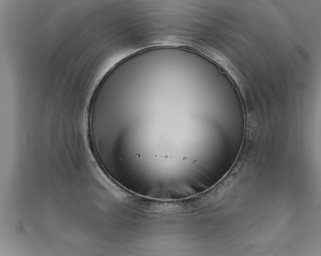 X0000111361187200907171157