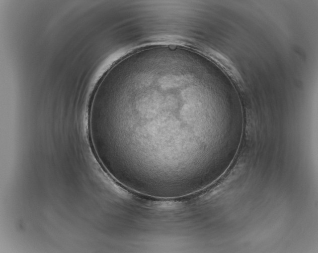X0000111361188200907171157