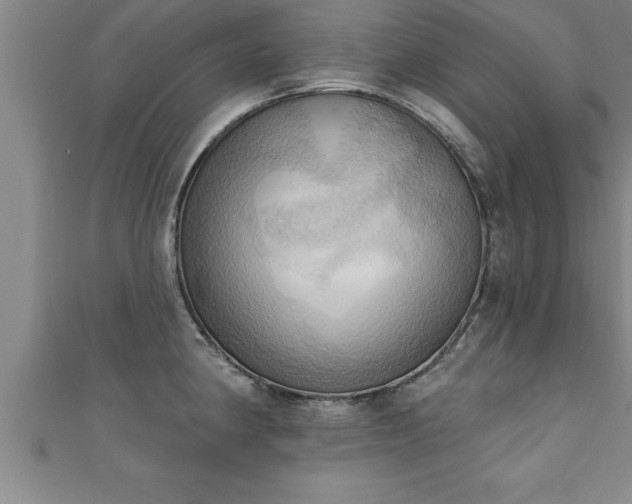 X0000111361190200907171157