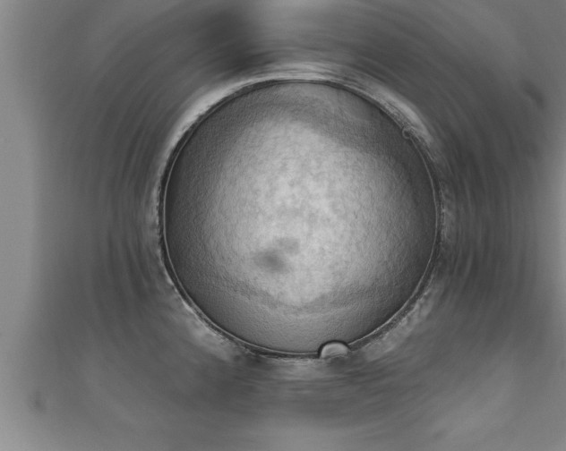 X0000111361192200907171157