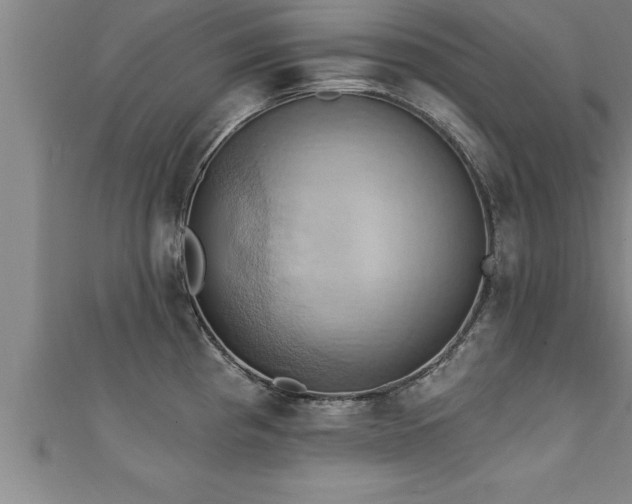 X0000111361193200907171157