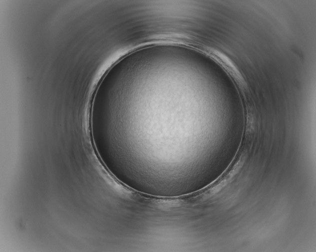 X0000111361196200907171157