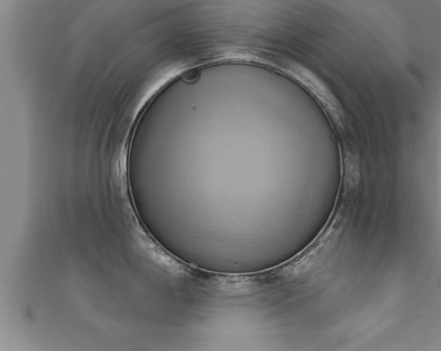 X0000111361198200907171157