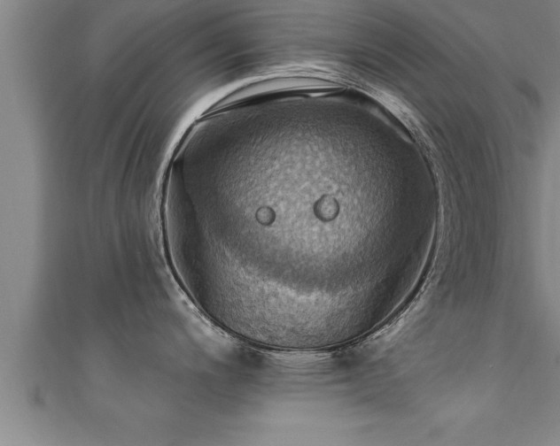 X0000111361200200907171157