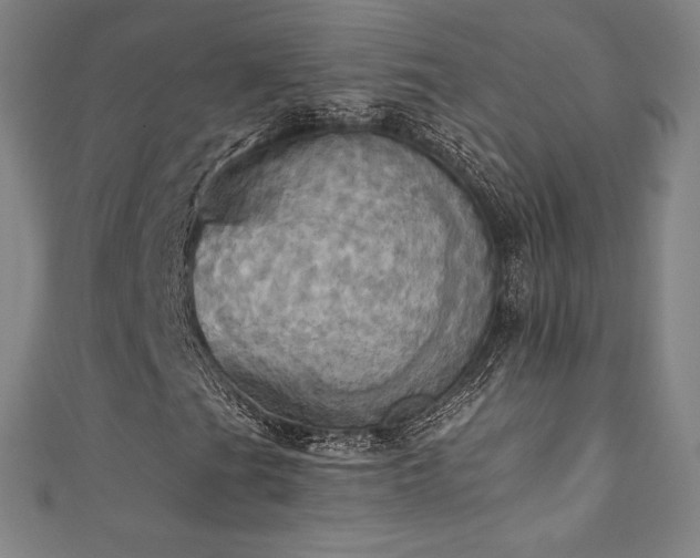 X0000111361201200907171156