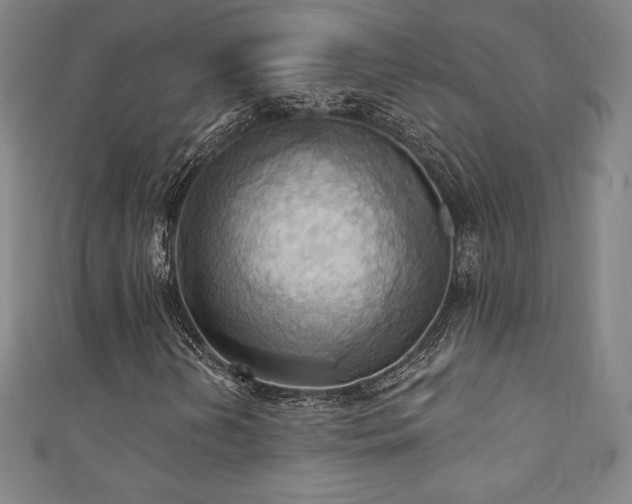 X0000111361202200907171156