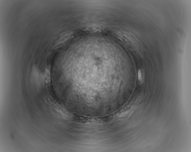 X0000111361203200907171156