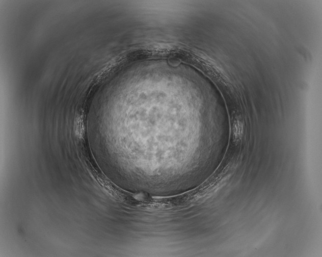 X0000111361204200907171156