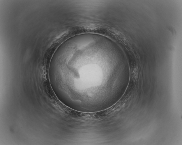 X0000111361205200907171156