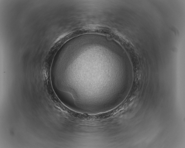 X0000111361206200907171157