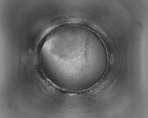 X0000111361208200907171157