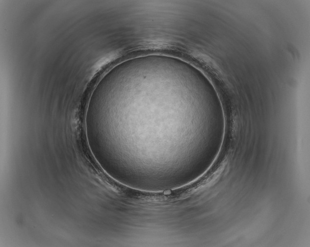 X0000111361210200907171157