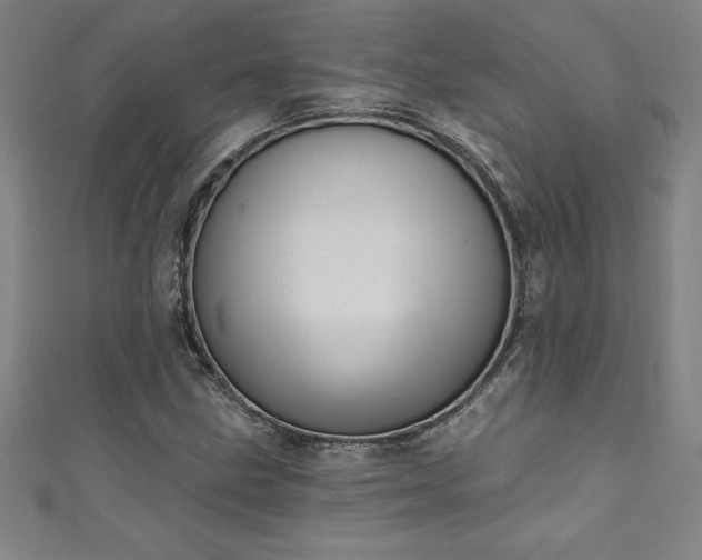 X0000111361211200907171157
