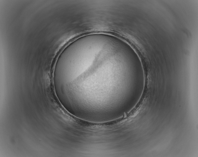 X0000111361212200907171157