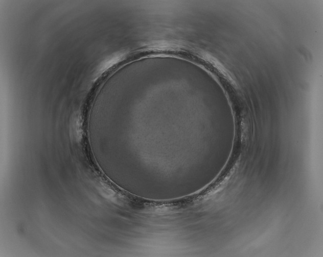 X0000111361213200907171157