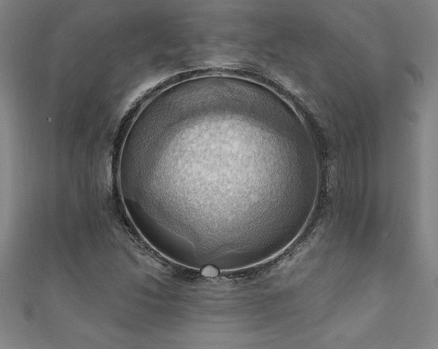 X0000111361214200907171157