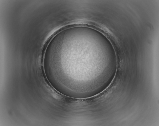 X0000111361216200907171157