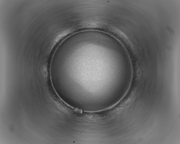 X0000111361218200907171157