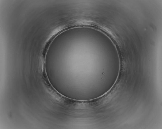 X0000111361219200907171157