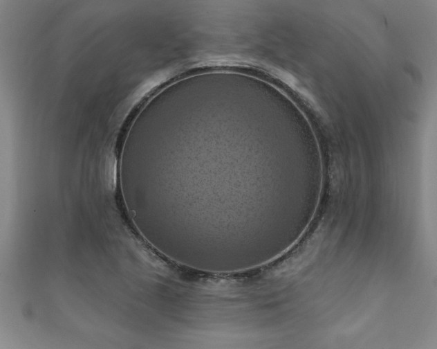 X0000111361221200907171157