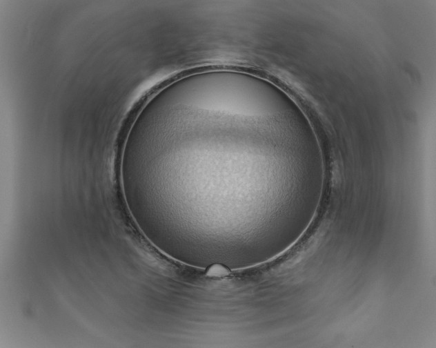 X0000111361222200907171157