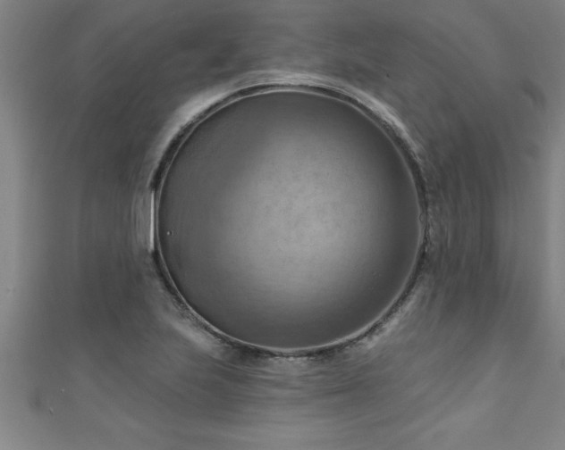 X0000111361223200907171157