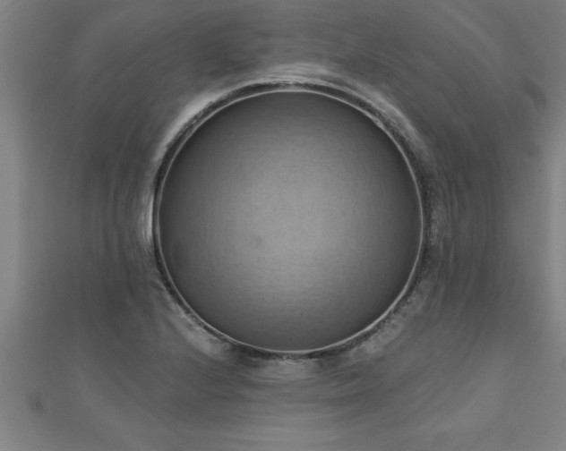 X0000111361224200907171157