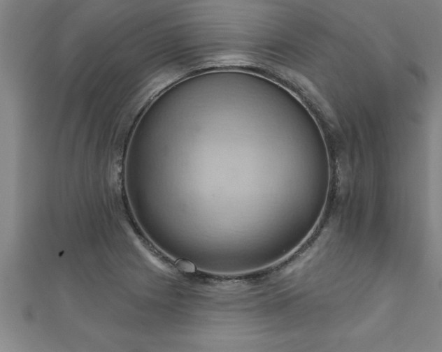 X0000111361225200907171157