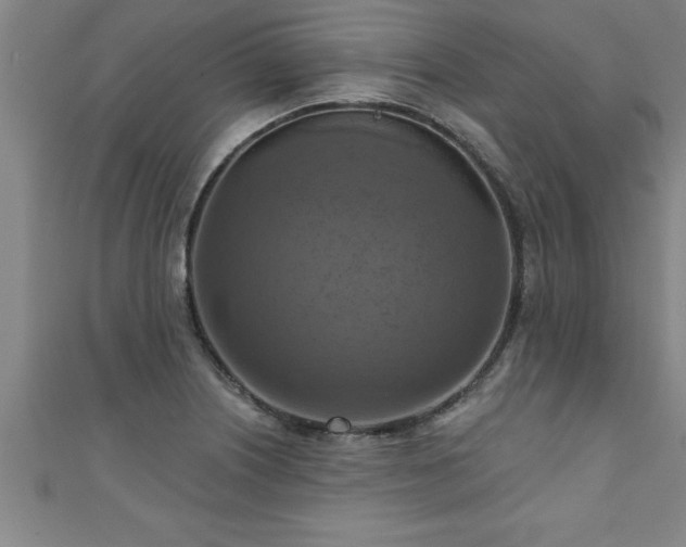 X0000111361226200907171157