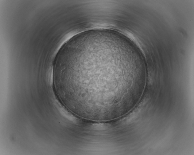 X0000111361227200907171157
