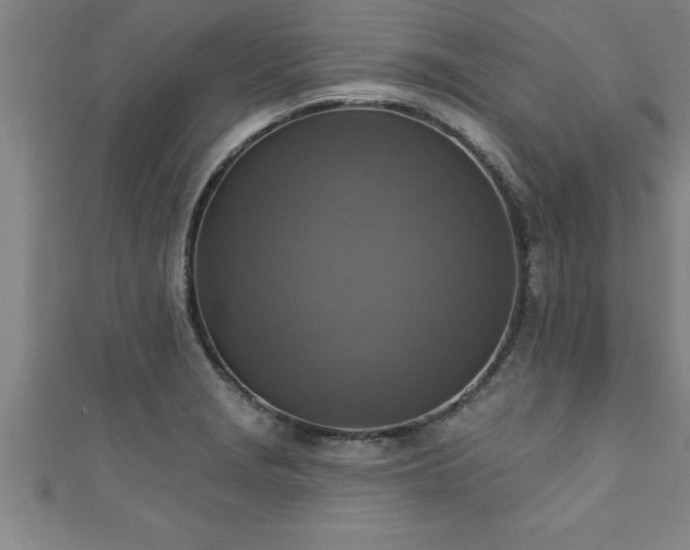 X0000111361229200907171157