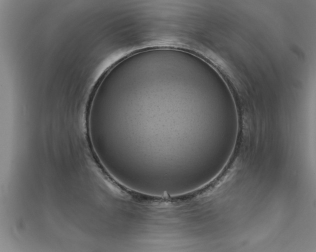 X0000111361230200907171157