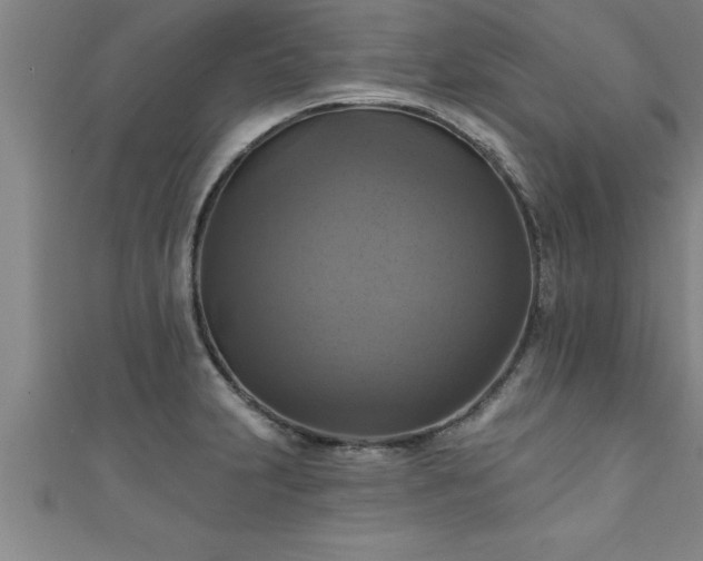 X0000111361231200907171157