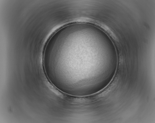 X0000111361232200907171157