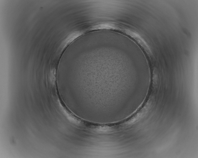 X0000111361233200907171157